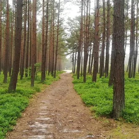 홈스테이 Klonowa 13 - Przytulne Do Wynajecia Nad Morzem