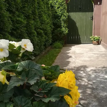 ホームステイ Klonowa 13 - Przytulne Do Wynajecia Nad Morzem ウストカ