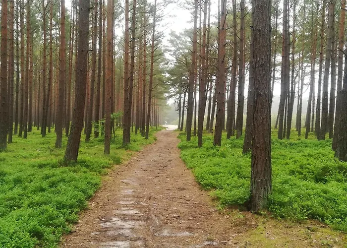 Homestay szállás Klonowa 13 - Przytulne Do Wynajecia Nad Morzem