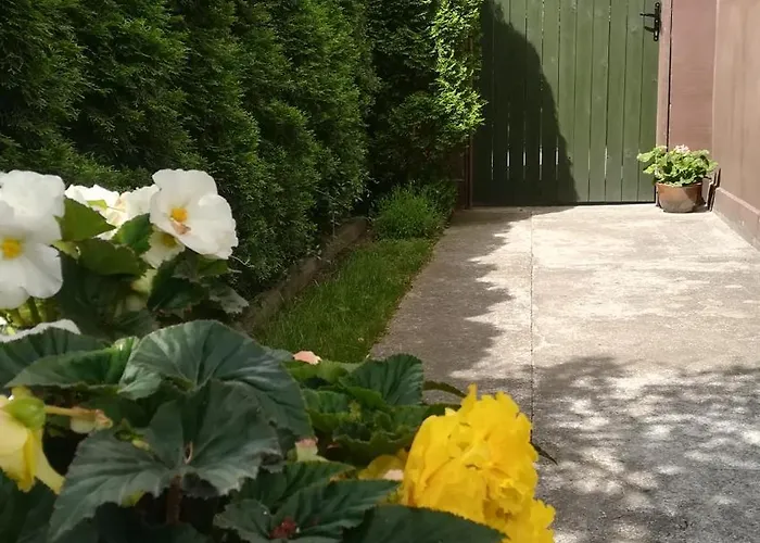 Homestay szállás Klonowa 13 - Przytulne Do Wynajecia Nad Morzem Ustka